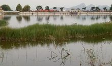 我家门前有条河