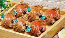 又见溱湖柳絮飘