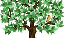 大树与小鸟的对话