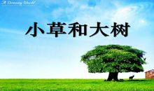 小草和大树