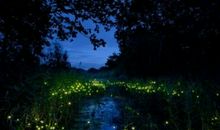 遇见总是美好的