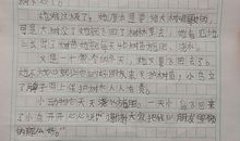 《去年的树》续写