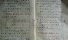 厨具的争吵作文