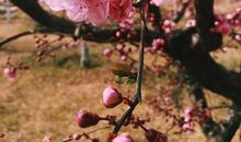 遇见最美的时刻