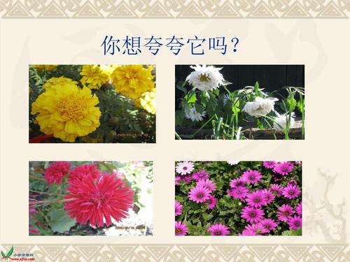 赞美我们的秋天