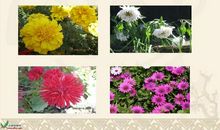 夸夸我们的秋季