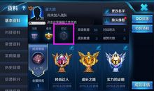 我眼中的“王者荣耀”