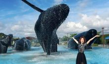 这样的画面流连忘返