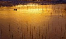 追寻那渐远的余韵