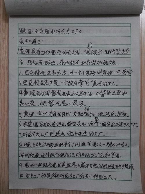 阅读后的巧克力男孩