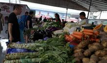 都是暴雨惹的祸