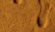 父亲的脚印伴随我成长