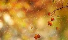 又是一年秋雨愁