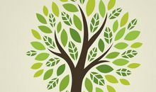 小树的真情告白