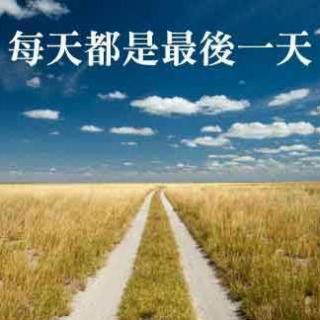 如果我只有一天的生活