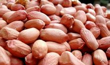 种花生看图写话