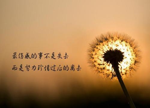珍惜“悲伤”
