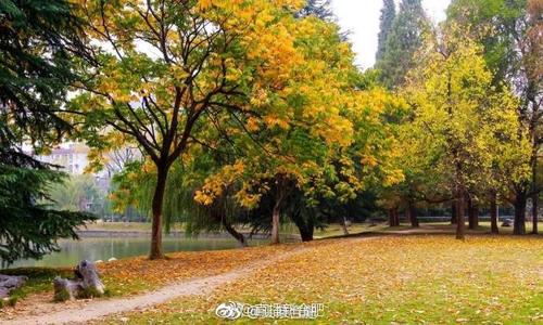 不同的秋天