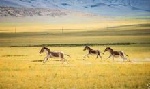 你的天边我的眼前