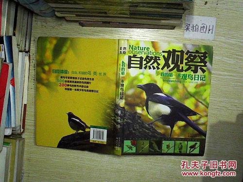 我的观鸟日记