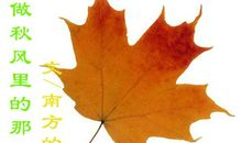 我与那片落叶再见时