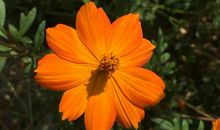 翩跹而出的彩蝶——汉字