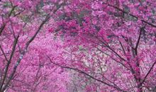 一路眼光，一路成长