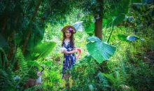 森林超市童话故事