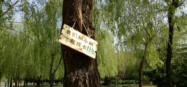 令人难忘的第一场演讲