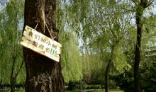 好难忘第一次演讲