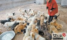 爱心少年流浪狗