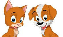 小猫与小狗的故事