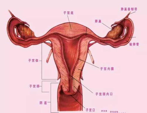 第一次