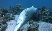 我生命中最美的一刻