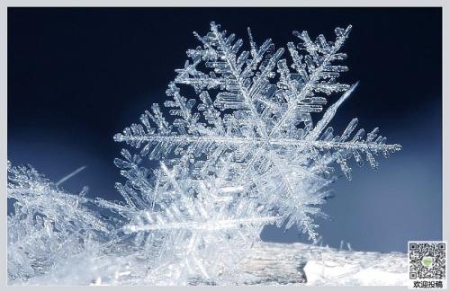 雪花的叙事