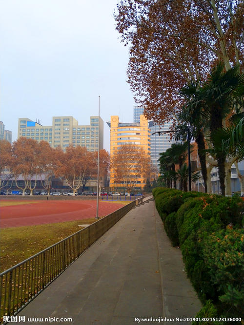 校园最美的风景