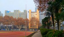 校园最靓丽的风景