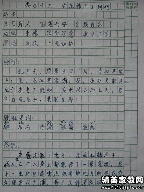 观察猫日记400字4级