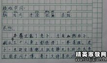 观察小猫日记400字四年级