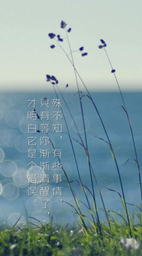 最执着的人