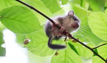 我和陈昀榛的珍贵友谊