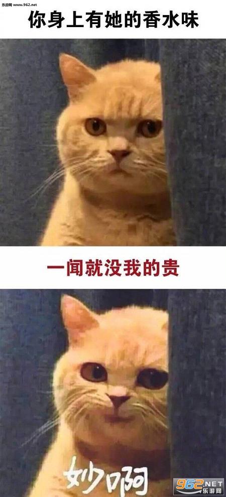 我有这样的朋友