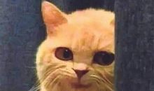 我有这样一位朋友