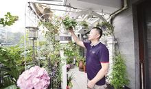 我家的小康生活