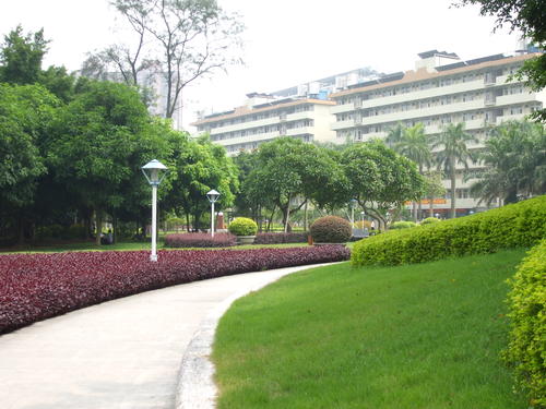 校园印象
