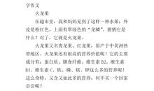 火龙果作文300字三年级