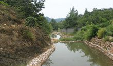 外婆家门前的小溪