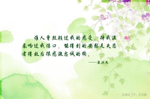 温柔的我