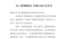 《青铜葵花》读后感