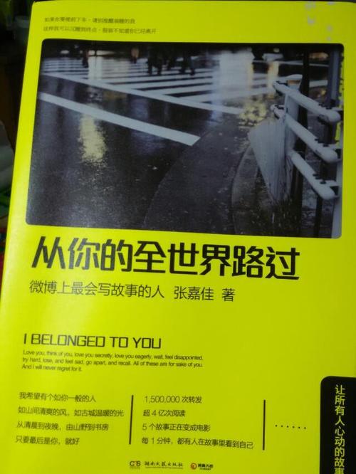 从你的世界过去